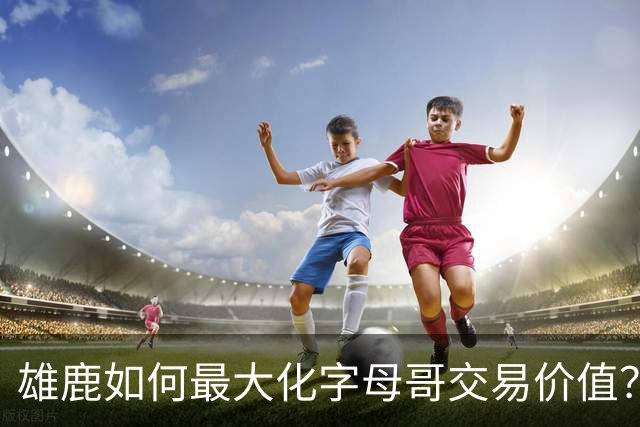 雄鹿如何最大化字母哥交易价值？等竞争对手 或许热火会提高报价